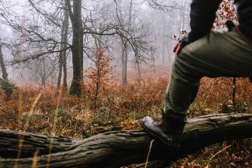Auf dem Bild ist das Bein eines Wanderers. Der Fuß steht auf einem Baumstamm. Der Wanderer blickt auf den Wald. Es ist Herbst und nebelig