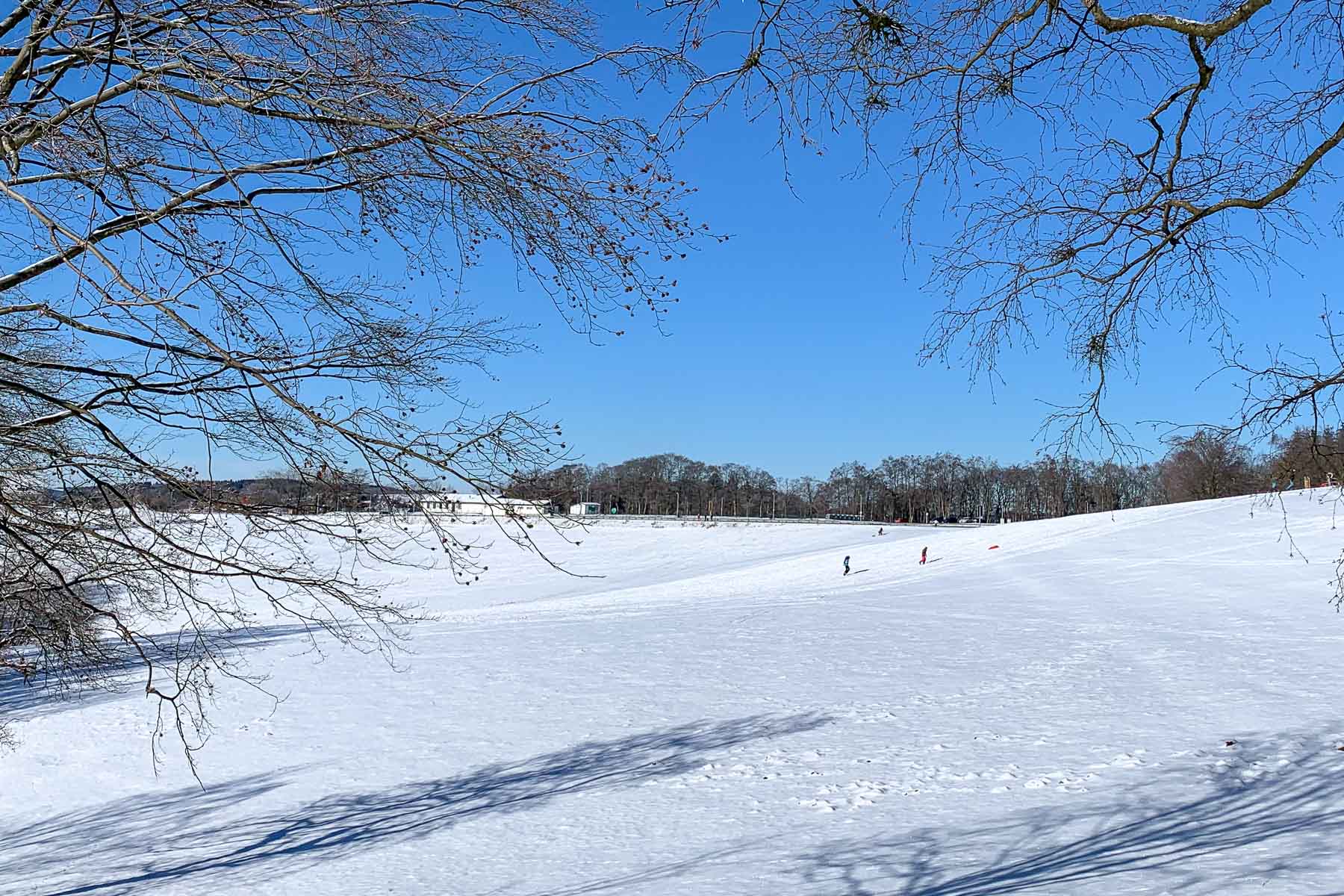 Das Bild zeigt eine Wiese mit Schnee. Auf dem Bild sind Kinder mit Schlitten. Es ist ein sonniger Wintertag.
