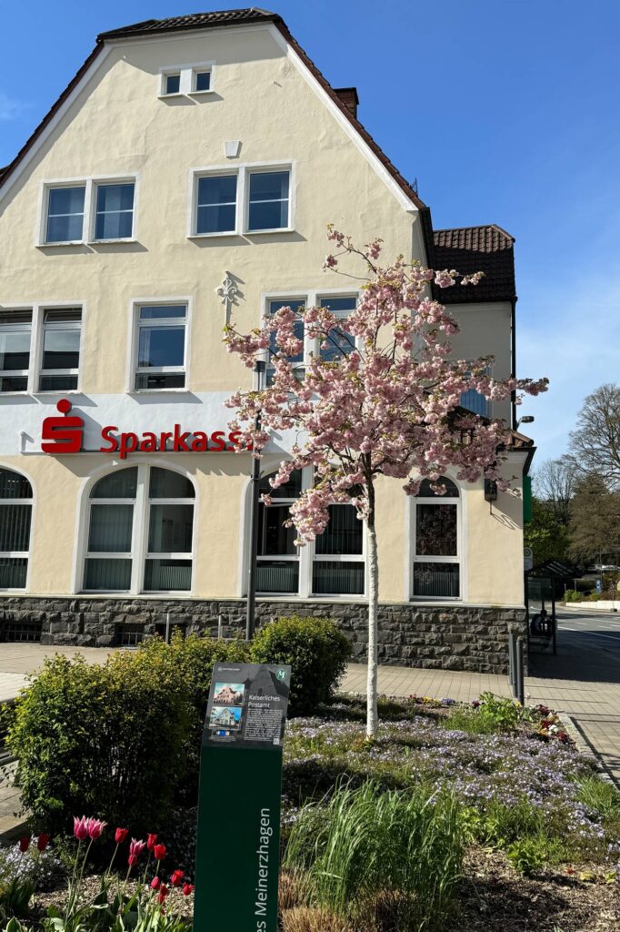Auf dem Bild ein Blumenbeet mit einem Kirschbaum. Der Baum blüht rosa. Vorne im Bild steht eine Infotafel. Sie gehört zum Stadtspaziergang Meinerzhagen. Hinten im Bild sieht man ein hellgelbes Gebäude. Es ist die Sparkasse Meinerzhagen