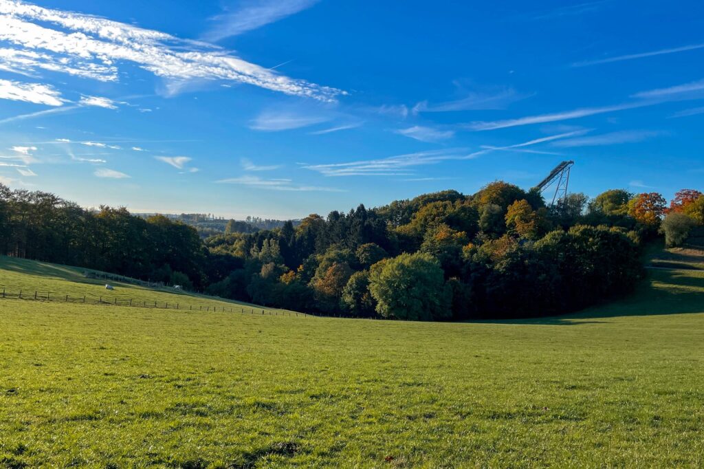 Auf dem Bild sieht man eine grüne Wiese. Hinten im Bild ist die Skisprungschanze und Wald. Der Himmel ist blau