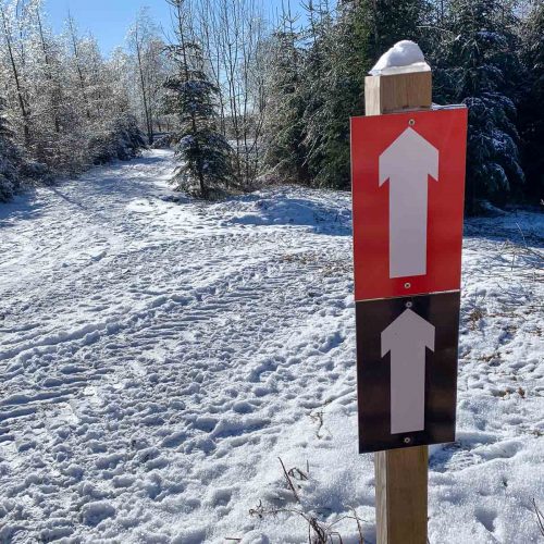 Auf dem Bild sind zwei Schilder. Auf ihnen sind Pfeile. Es liegt Schnee und die Sonne scheint. Die Pfeile zeigen den Weg. Der Weg ist die Nordic-Walking-Strecke