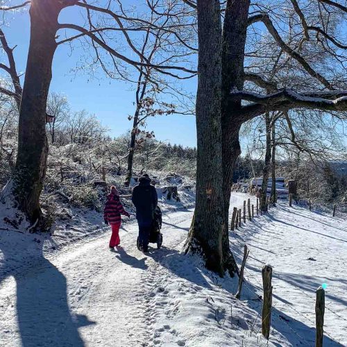 Das Bild zeigt einen Wanderweg im Schnee. Der Weg heißt "Sauerland Höhenflug". Auf dem Weg ist ein Vater mit seiner Tochter. Er schiebt einen Kinderwagen. Das Bild zeigt: Auch im Winter kann man spazieren gehen