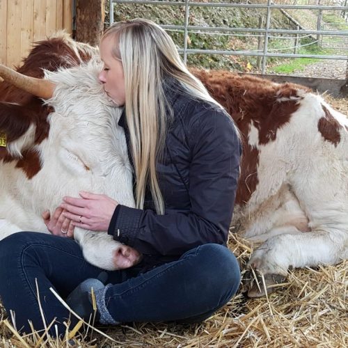 Auf dem Bild sind eine Frau und eine Kuh. Die Frau küsst die Kuh. Das Bild zeigt, dass Kuhkuscheln Spaß macht